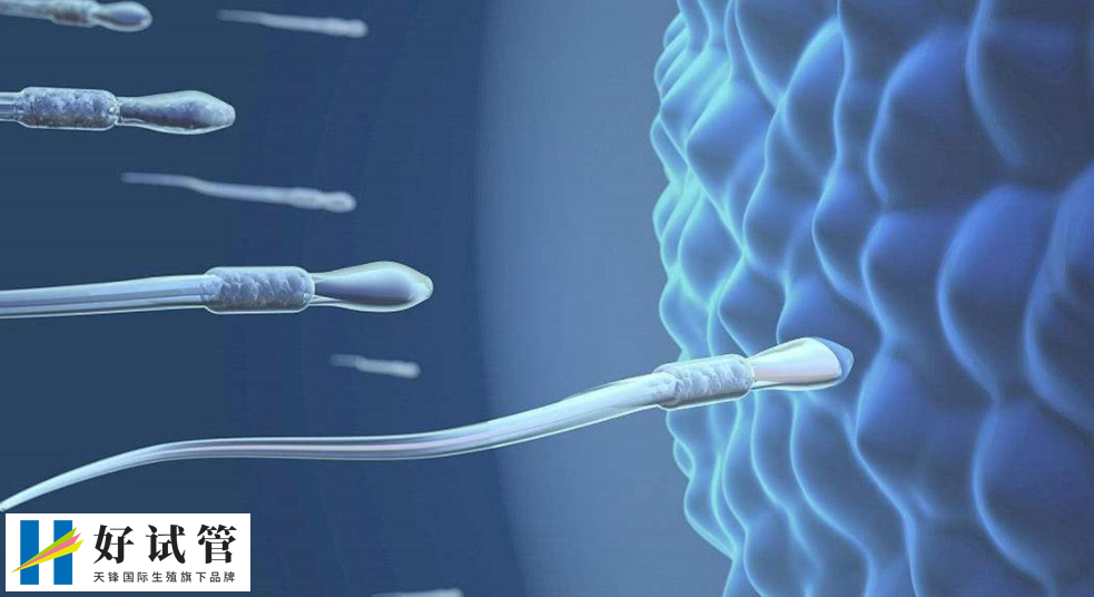 济南中心医院生殖科哪位医生比较好?靠谱试管医生推荐!(图1) 7bae6e36727f3735b26f8c8c56f14f2c_tdf-984.jpg