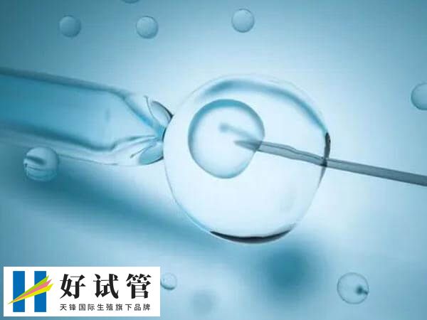 为什么有人取卵第三天就移植了(图1) 进行试管婴儿周期的过程非常漫长