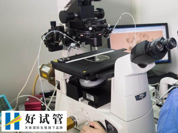 为什么有人取卵第三天就移植了(图2) 鲜胚移植的成功率高