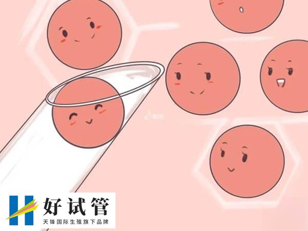 取卵手术的过程是什么(图2) 取卵手术通常创伤小