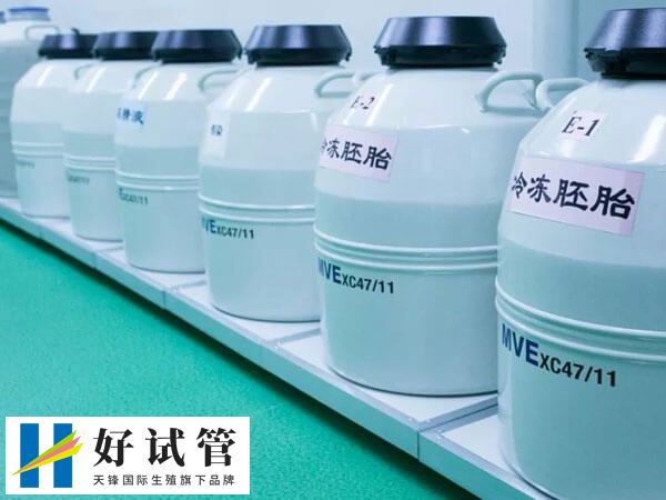 试管婴儿CET和FET是什么意思(图1) FET就是解冻胚胎移植术