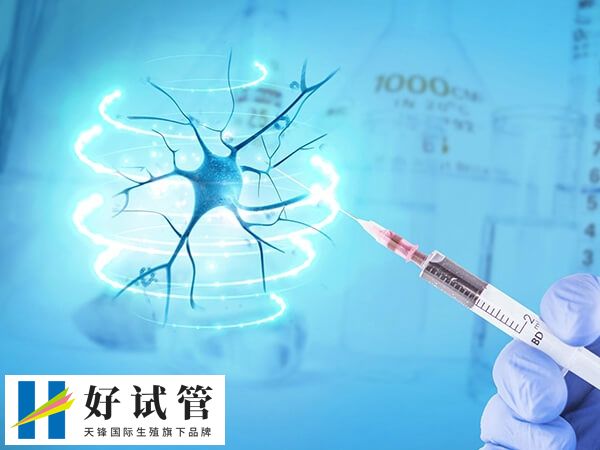 中信湘雅试管花费一览,附试管助孕费用明细表(图1) 试管婴儿是一种辅助生殖技术