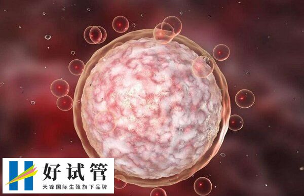 黄体期促排取卵该怎么避免都是空卵泡的现象?(图1) 黄体期促排出现空卵泡可能是内分泌失调