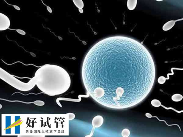 试管全是三级胚胎原因是什么(图1) 试管三级胚胎是一种辅助生殖技术
