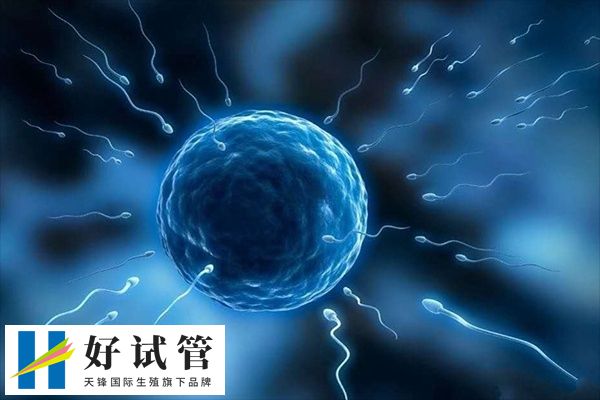 试管移植十六天腰发麻的疼正不正常(图1) 试管移植是一种较为常见的辅助生殖技术