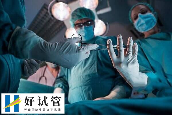 取卵手术会怎么麻醉(图2) 取卵手术损伤较小