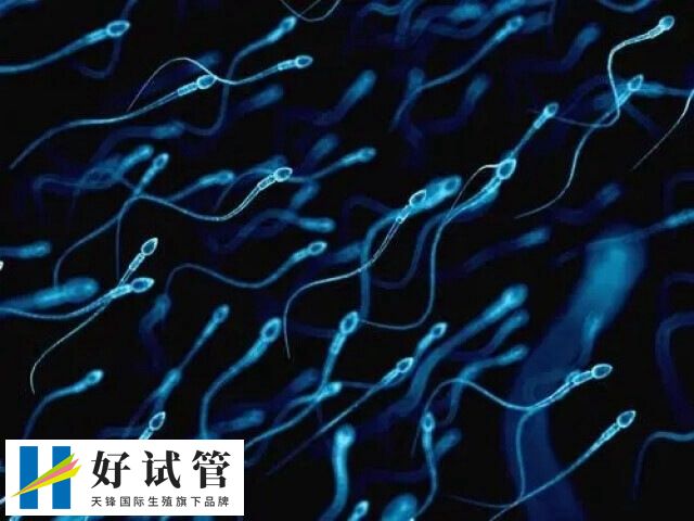 单身男性做试管婴儿合不合法(图1) 国内单身男性做试管婴儿是不合法的