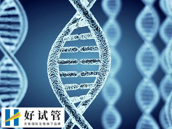 三代试管可不可以筛查红斑狼疮(图2) 红斑狼疮属于多基因遗传的自身免疫性疾病