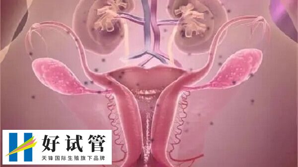 子宫内膜异位症最少要打几针达菲林(图2) 子宫内膜异位症打达菲林会出现肠胃不适