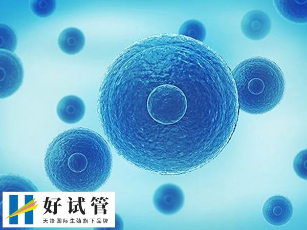 5cb囊胚的质量好不好(图1) 5cb囊胚具备移植的必要性