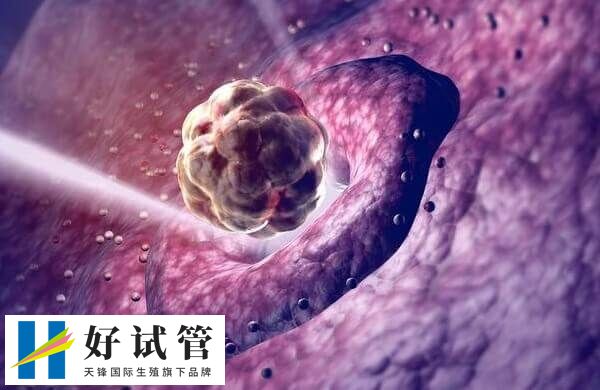 5cb囊胚的质量好不好(图2) 5cb囊胚不是优质胚胎
