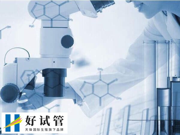 5cb囊胚的质量好不好(图3) 囊胚5cb也是可以移植的