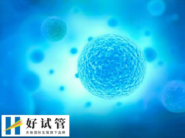 6天的5bc囊胚移植成功率高不高(图1) 囊胚5BC的质量属于中等水平