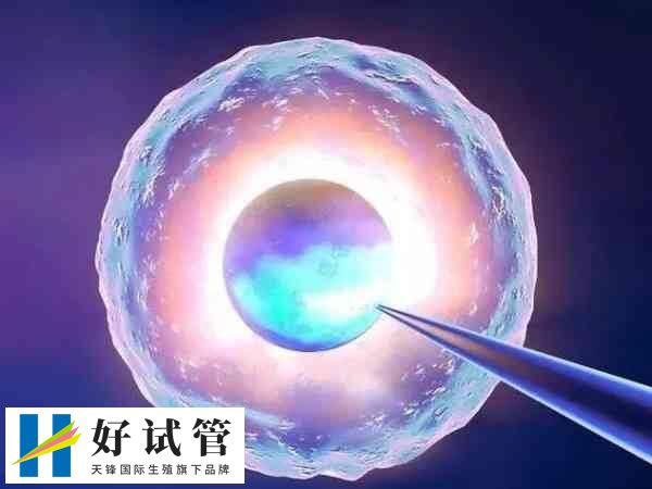日本试管成功率有多大(图1) 试管婴儿技术是一项现代医学技术