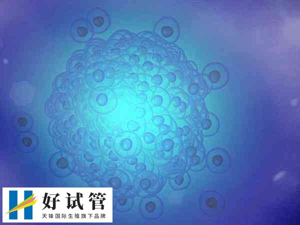 日本试管成功率有多大(图2) 不同年龄段做试管的成功率也存在一定差异