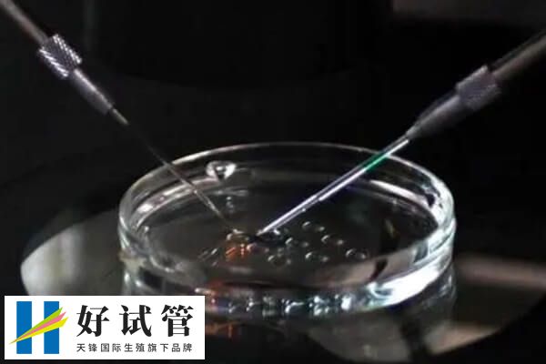 试管移植后肩胛骨疼怎么回事(图2) 肩胛骨疼痛可能与多种因素相关