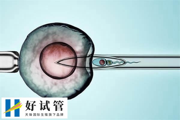 试管婴儿短效长方案促排卵会有哪些优点和缺点?(图1) 短效长方案的优缺点