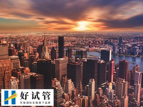 单身妈妈去美国做试管婴儿需要满足什么条件?(图1) 美国做试管婴儿成功率可以达到百分之八十五