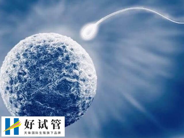 导致男性不孕不育症的原因有哪些(图1) 导致男性不孕不育的原因