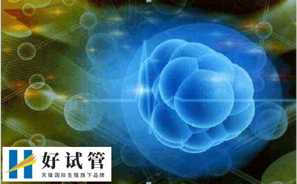 试管调内膜的方案有哪些(图1) 自然周期调内膜不适用外源性药物