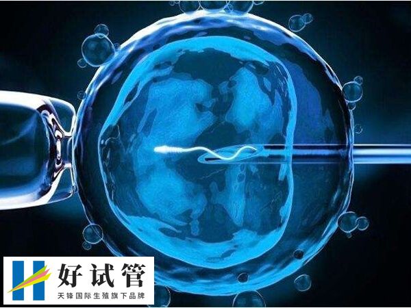 ppos方案要不要打防排针(图2) ppos方案促排过程简单