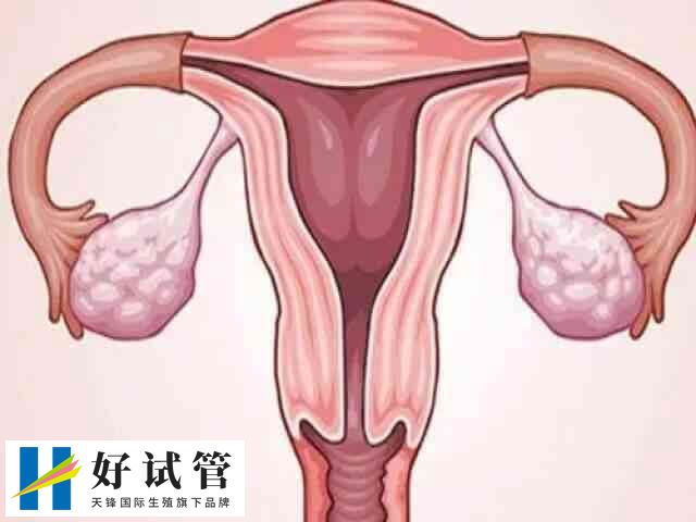 试管移植内膜厚度多少最好(图1) 内膜厚度会影响胚胎的着床和发育