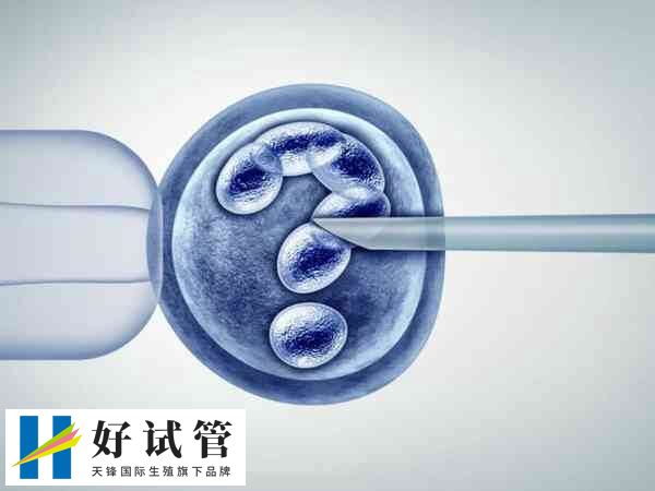 试管移植内膜厚度多少最好(图2) 内膜厚度是影响移植成功率的因素之一