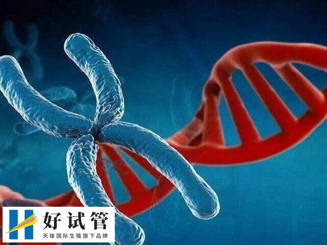 染色体缺失做试管要多少钱(图2) 染色体缺失做试管婴儿的费用因人而异
