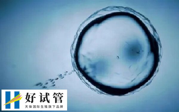 鲜胚移植12天有什么感觉(图2) 鲜胚移植成功后乳房会变得柔软